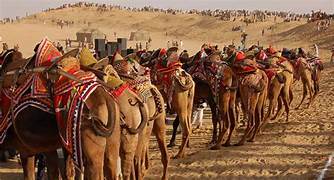 Bikaner Camel Tour